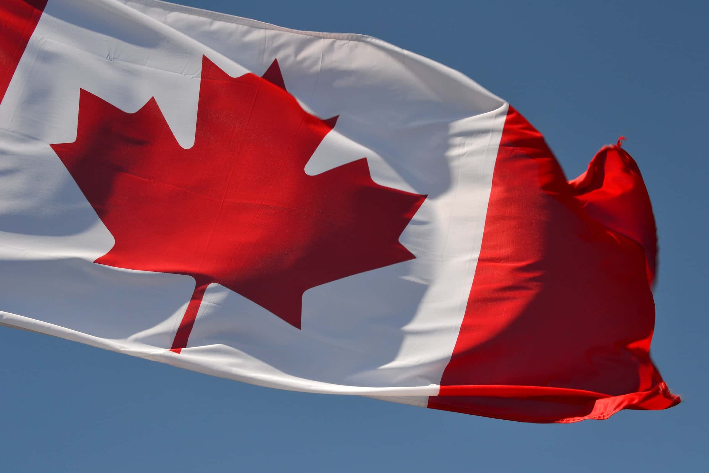 Transcription Services Ontario - Way With Words featured image