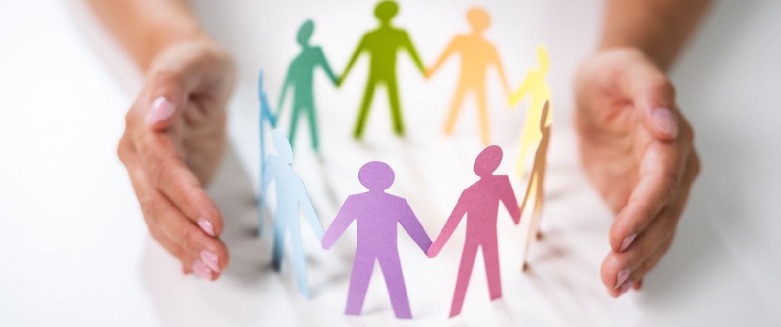 ai systems diversity